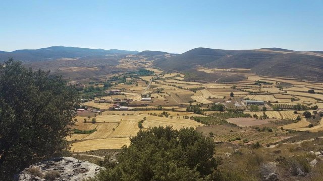 13754432_10208587962088604_1004555526603188261_n