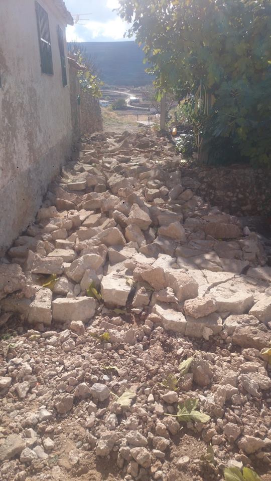 14991882_1206421849394478_722851205860828819_n