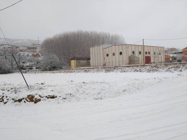 16002749_1403727876313542_41730649837201279_n