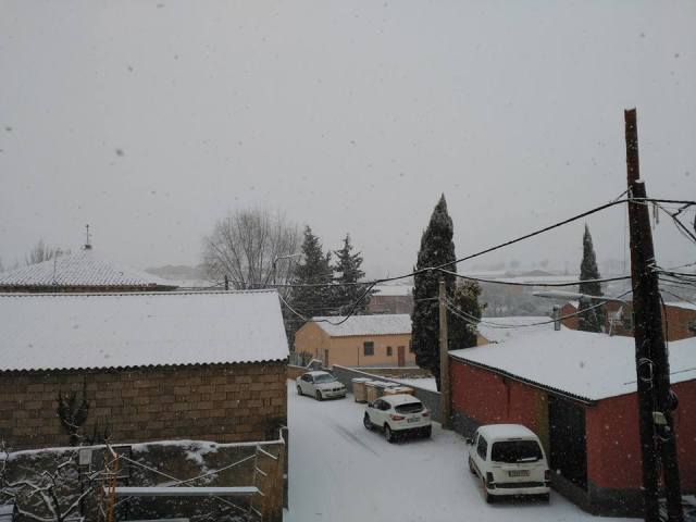 16105811_1403545742998422_2569989373598284108_n