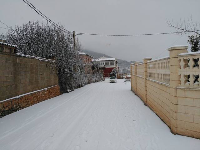 16115006_1403727579646905_1689131384692238735_n