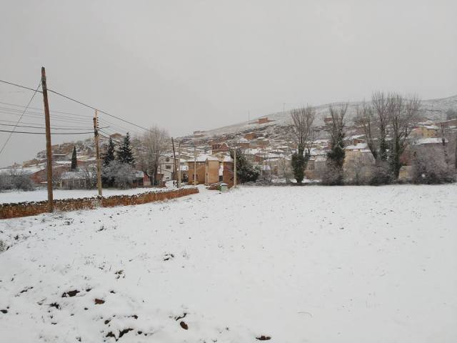 16143199_1403727782980218_6821112637107544196_n