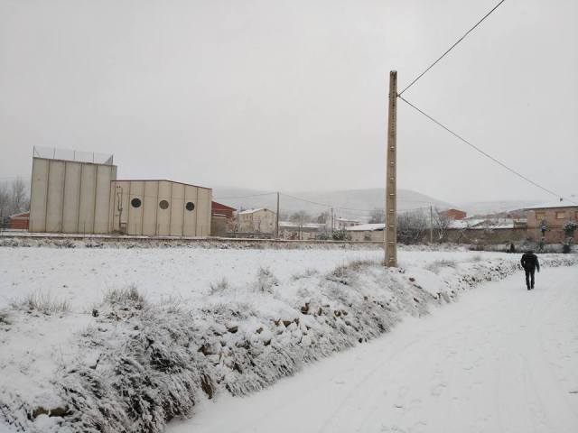 16195718_1403728249646838_6445687783559017947_n