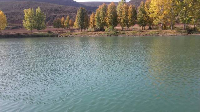 22366661_10213381357709533_3914152767725384611_n