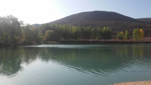 22406444_10213381351949389_7012068729818544873_n