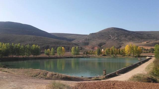 22448482_10213381350909363_4559292944943412507_n