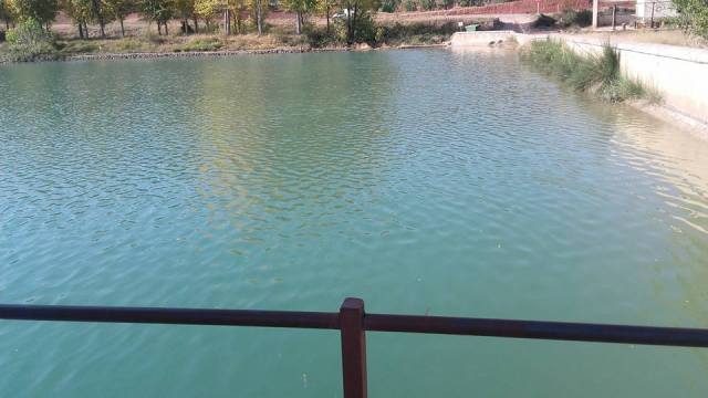 22448595_10213381356269497_4533686520194262263_n