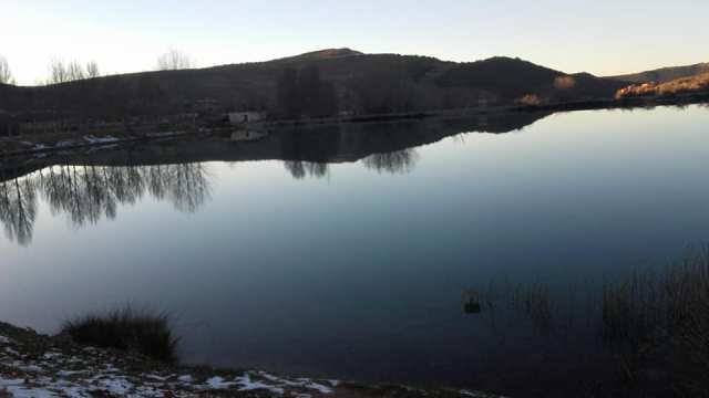 raquel_pantano11_6-12-17