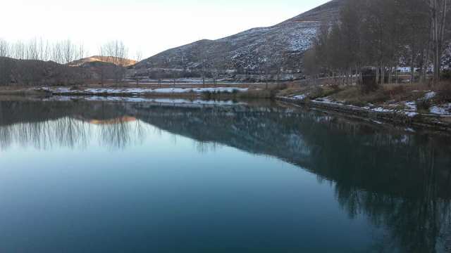 raquel_pantano1_6-12-17