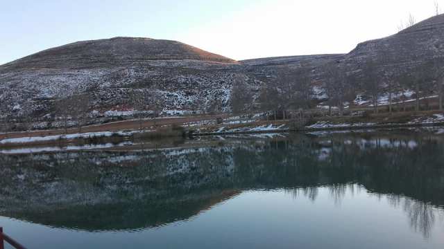 raquel_pantano3_6-12-17