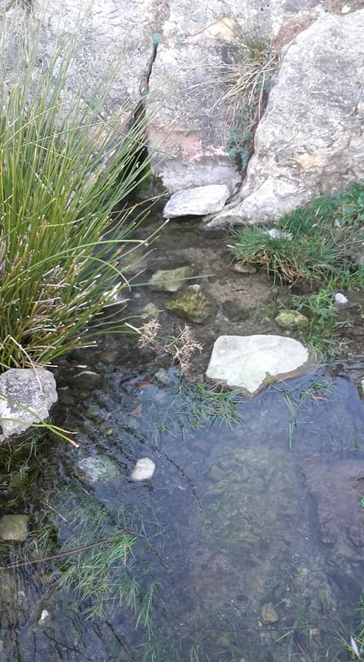 raquel_pantano8_6-12-17