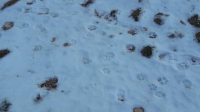 raquel_pantano9_6-12-17