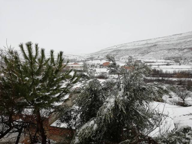 27332558_1859098947497365_5739847163515378641_n (1)