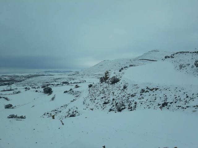 27332732_1808452665841059_6560063838429421213_n