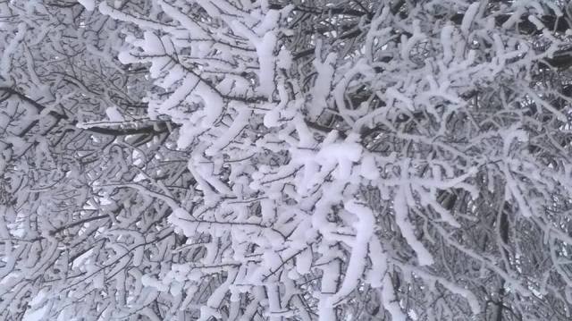 27337015_1859099224164004_3271855282867795973_n