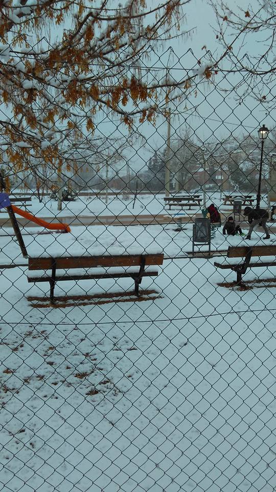 27540164_10211506160869306_3921240274512570562_n