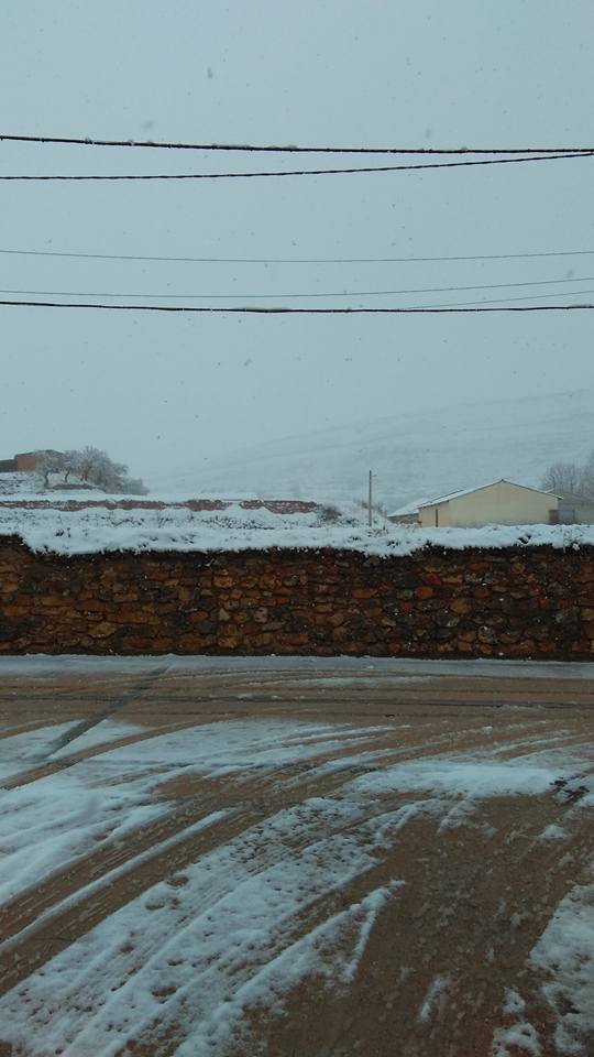 27544804_10211506161269316_6719138079958420977_n