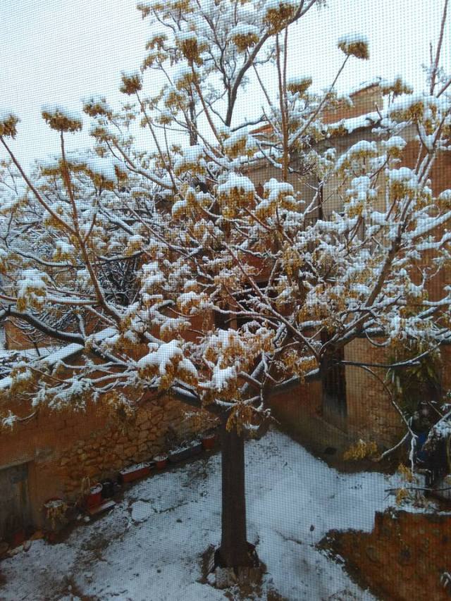 27654499_10211506053426620_5780750658937272548_n