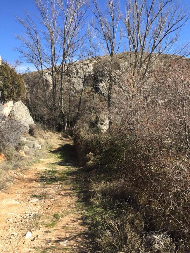 Camino de Valdenogueras