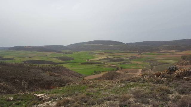 30772448_10214128668082791_1378987474_o