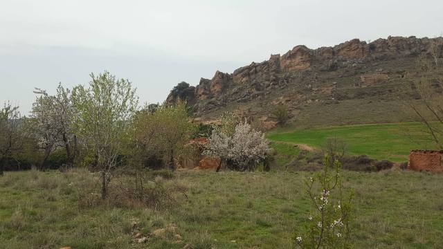 30825042_10214128657202519_1646317017_o