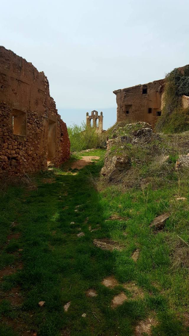 30946046_10214128658682556_865824478_o