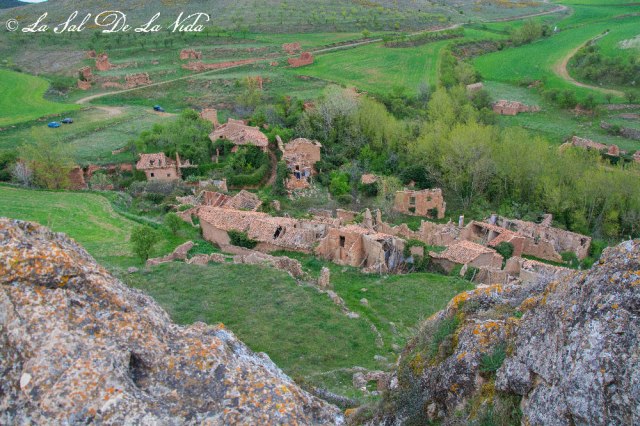 Pardos. Foto de Ismael Embid Muñoz