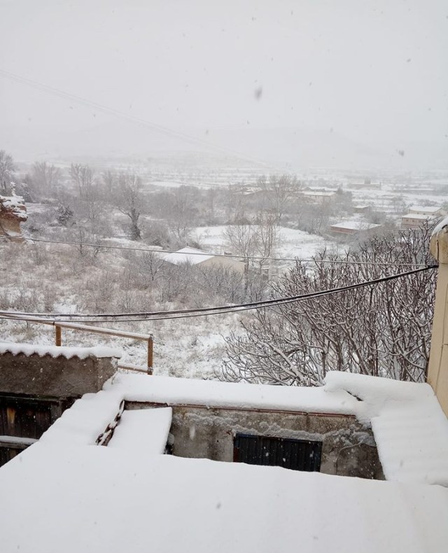 83085975_2272626019703558_8721448006726975488_o